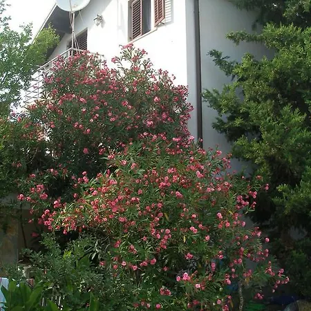 Lana Privlaka (Zadar)